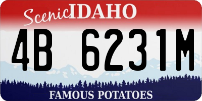 ID license plate 4B6231M