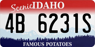 ID license plate 4B6231S