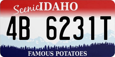 ID license plate 4B6231T