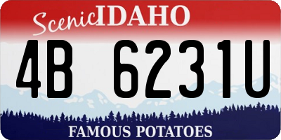 ID license plate 4B6231U