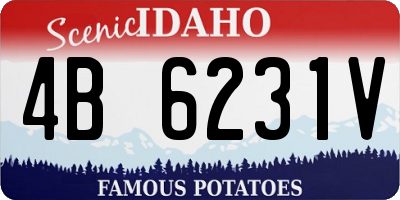 ID license plate 4B6231V