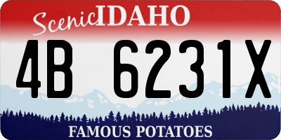 ID license plate 4B6231X