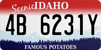 ID license plate 4B6231Y