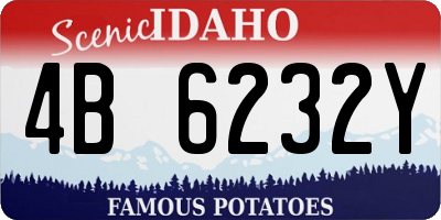 ID license plate 4B6232Y