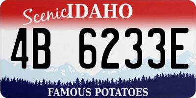 ID license plate 4B6233E