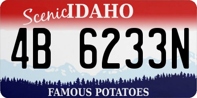 ID license plate 4B6233N