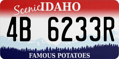 ID license plate 4B6233R