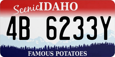 ID license plate 4B6233Y