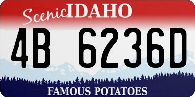 ID license plate 4B6236D