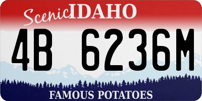 ID license plate 4B6236M