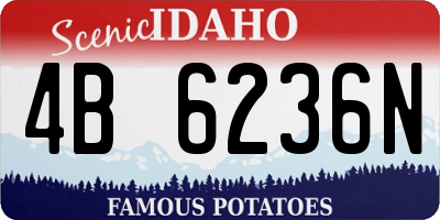 ID license plate 4B6236N