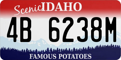 ID license plate 4B6238M