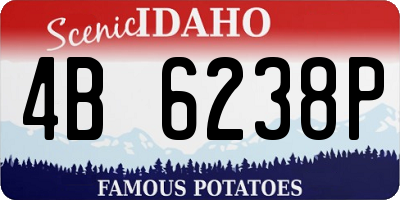 ID license plate 4B6238P