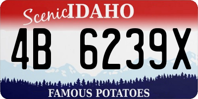 ID license plate 4B6239X