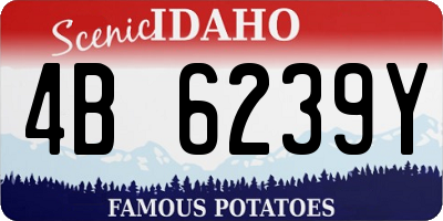 ID license plate 4B6239Y