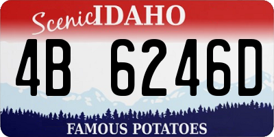 ID license plate 4B6246D