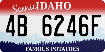 ID license plate 4B6246F