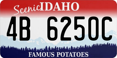 ID license plate 4B6250C