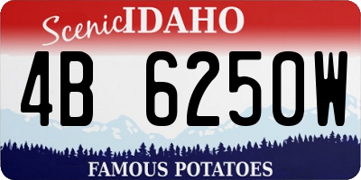 ID license plate 4B6250W