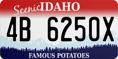 ID license plate 4B6250X