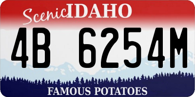 ID license plate 4B6254M