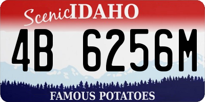 ID license plate 4B6256M