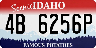 ID license plate 4B6256P