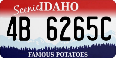 ID license plate 4B6265C