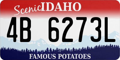 ID license plate 4B6273L