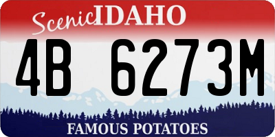 ID license plate 4B6273M