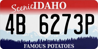 ID license plate 4B6273P