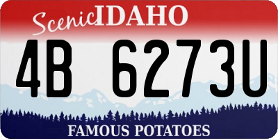 ID license plate 4B6273U