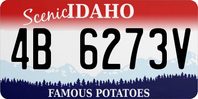 ID license plate 4B6273V