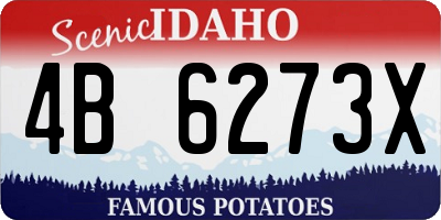 ID license plate 4B6273X