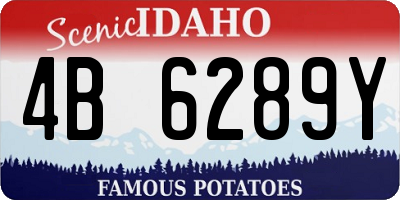 ID license plate 4B6289Y