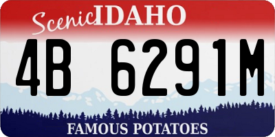 ID license plate 4B6291M