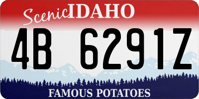 ID license plate 4B6291Z