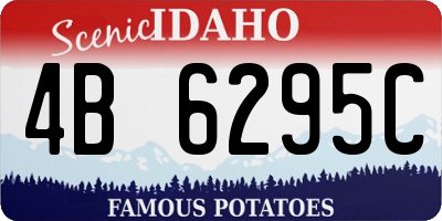 ID license plate 4B6295C