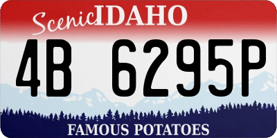 ID license plate 4B6295P