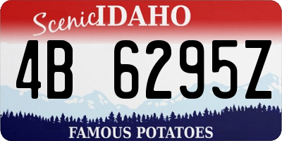 ID license plate 4B6295Z