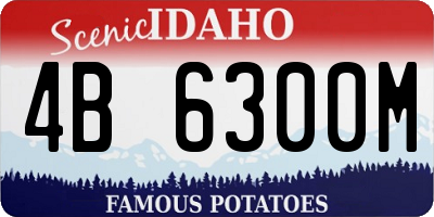 ID license plate 4B6300M