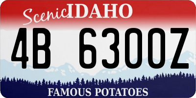 ID license plate 4B6300Z