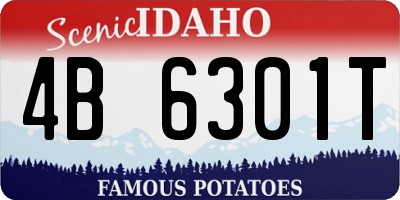 ID license plate 4B6301T