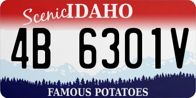 ID license plate 4B6301V