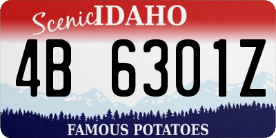 ID license plate 4B6301Z