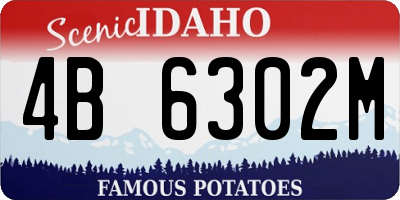 ID license plate 4B6302M