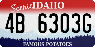 ID license plate 4B6303G