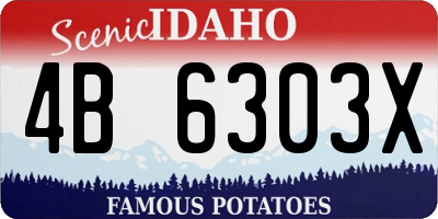ID license plate 4B6303X