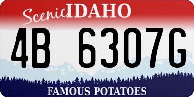 ID license plate 4B6307G