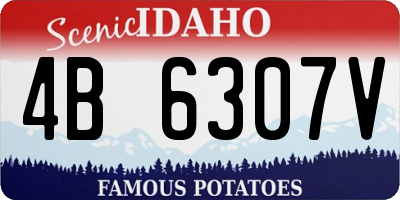 ID license plate 4B6307V